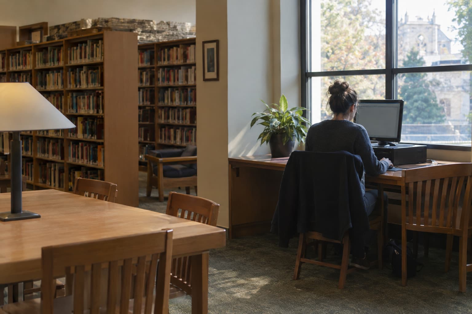 A quiet library reading room with one person at a terminal by a window