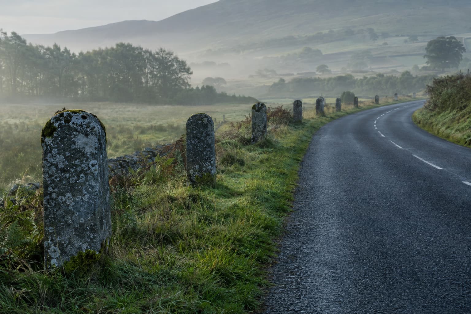 A row of blank stone mile markers along a winding country road in early morning light
