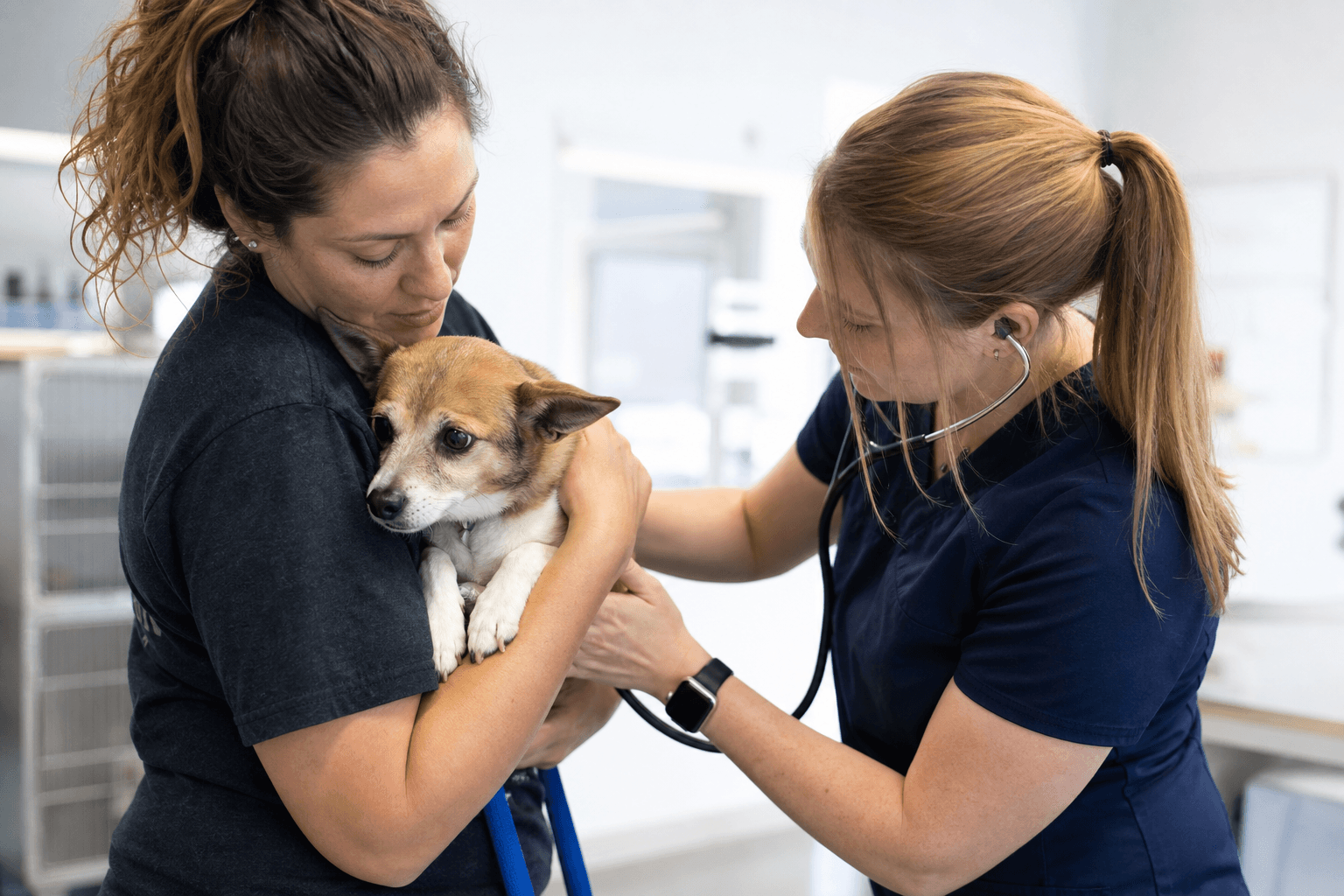 Foster volunteer holding a rescued dog during a veterinary intake exam