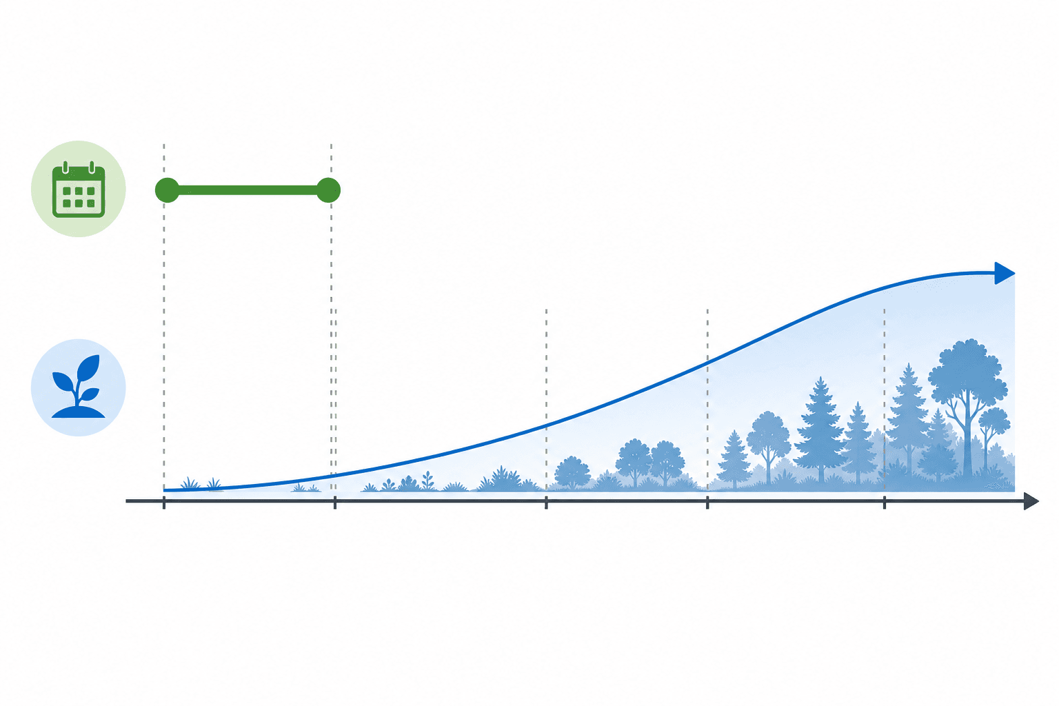 Monitoring timeline for a restoration grant showing ecological response lag