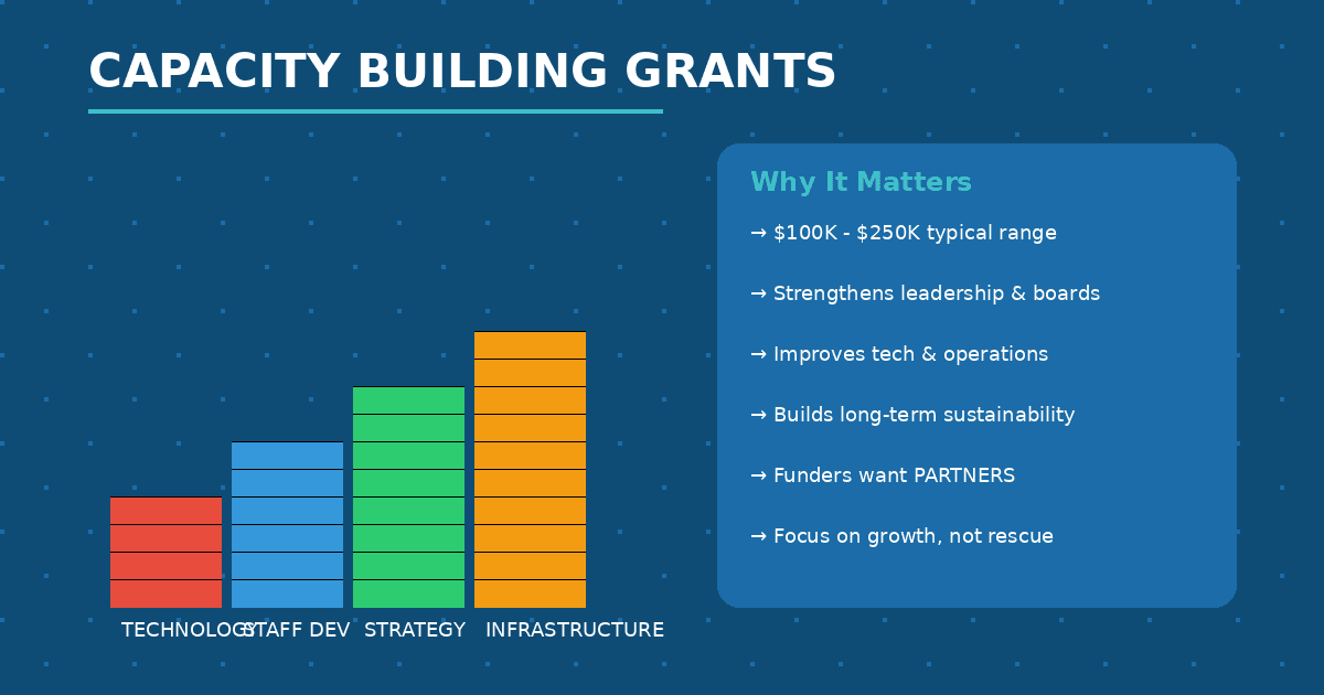 Your Nonprofit's Quest for Gold: The Fun Guide to 501c3 Grants, Online Applications, and Building Your Capacity (Without Losing Your Mind) — image 3